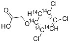 CAS 104873-01-0 molecular structure